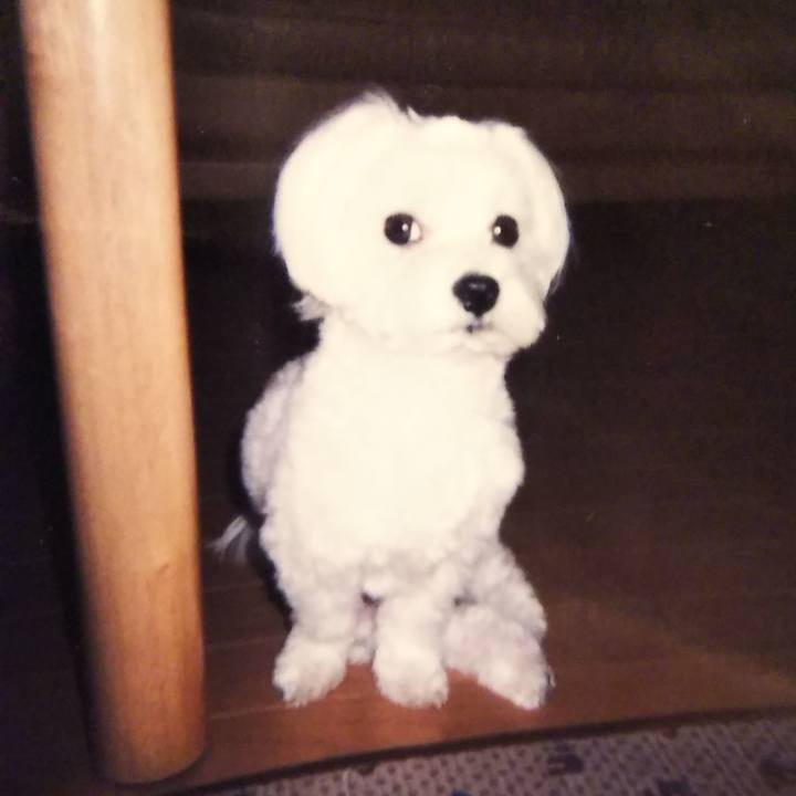 Fa539482 8877 486d 98d0 27ad715a142c 1540720909621