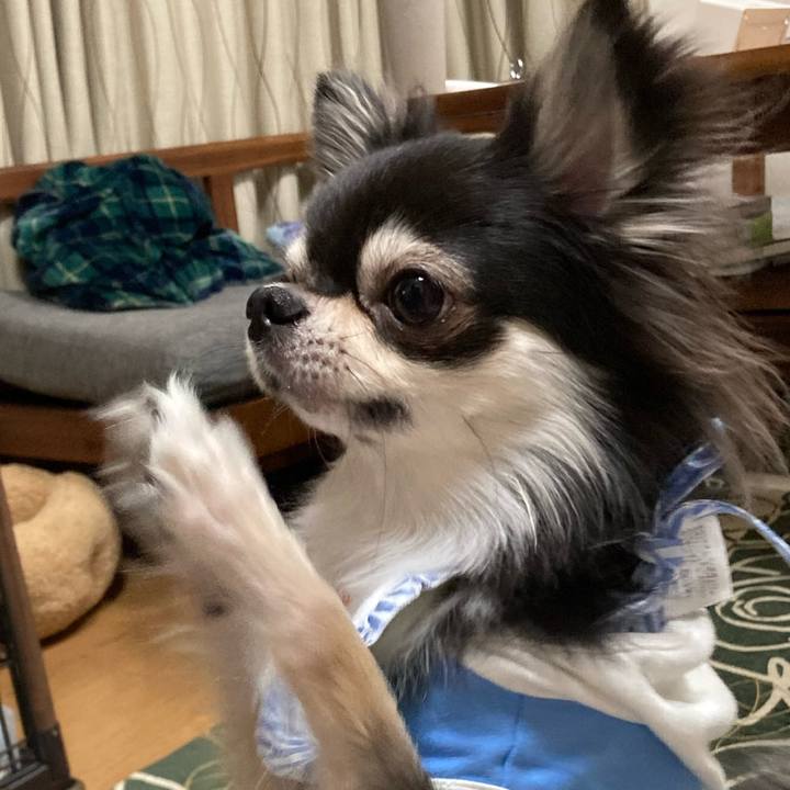 Fa53c44a 46bb 48a4 a9c6 eabf9180d67d 1644071868593