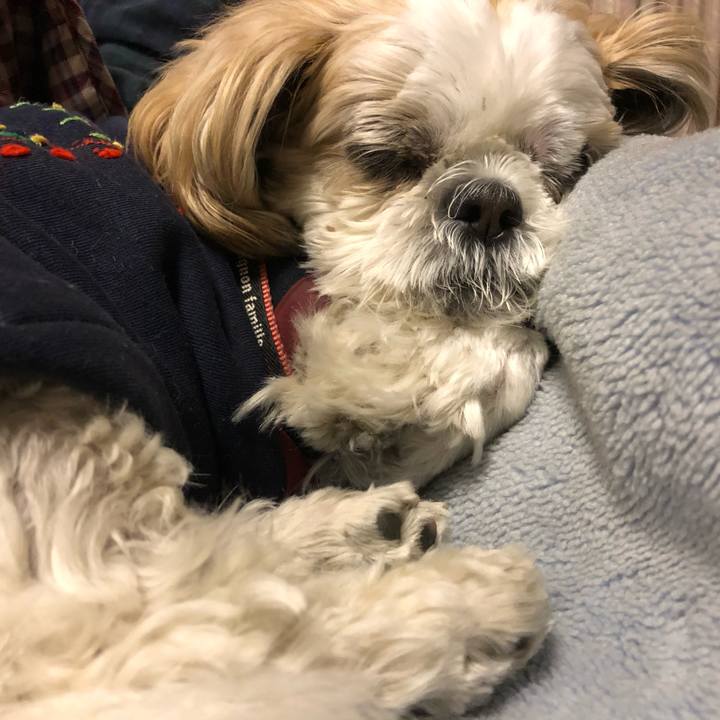 Fa53c8f6 ae3b 412d a71c 38043bdd73e2 1605304453222