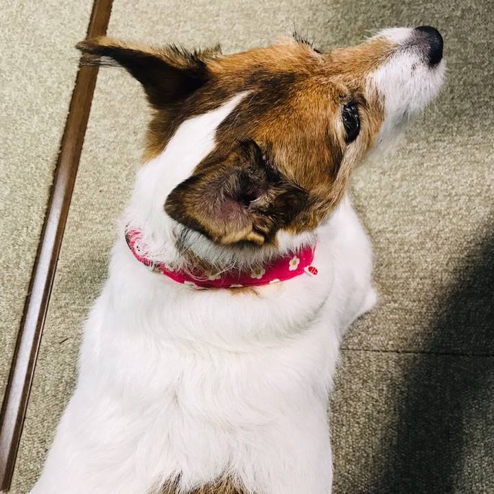 Fa53c989 4b88 4083 abaf 7fabed923a7f 1599367497432