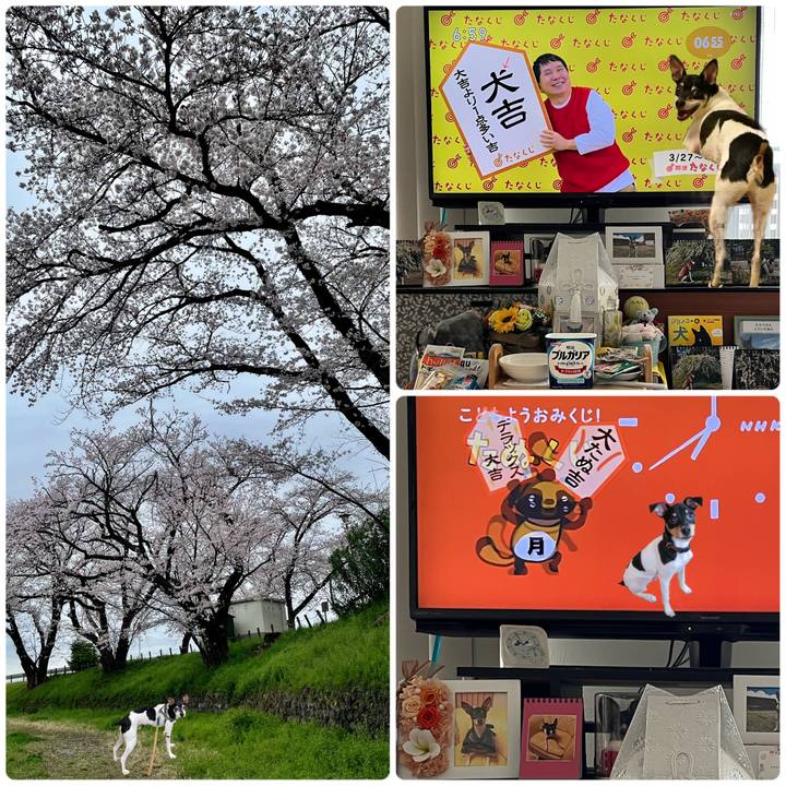 Fa53e77c afdd 478f be15 ff8350b0ef2c 1679869179182