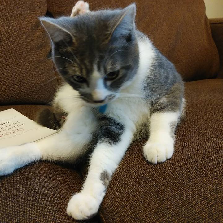 Fa53eea1 b0ff 4cfd 8975 6e777bbebbe9 1574385336207