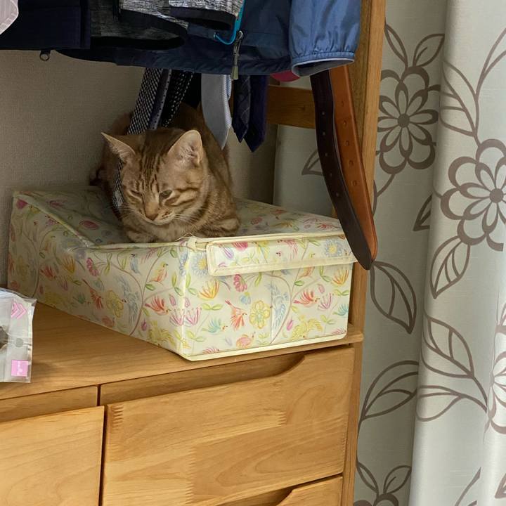 Fa53fb23 a46c 4f87 9c03 878e5fdc3485 1604313389098