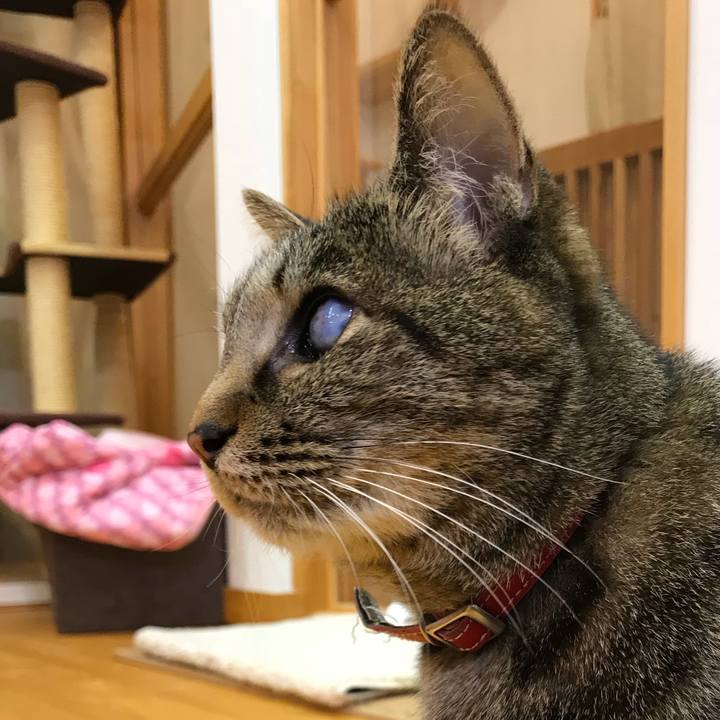 Fa544bec b06e 4268 89f0 4508fc9c2be9 1523451974625