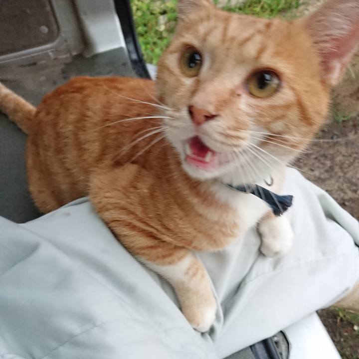 Fa544c8f aec2 40a3 aa71 d4ece6812fa6 1566207282306