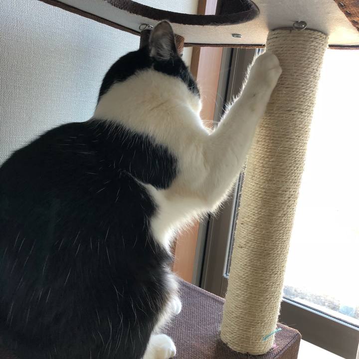 Fa54f5c2 a626 482e b488 7a7834e23e73 1547862482450