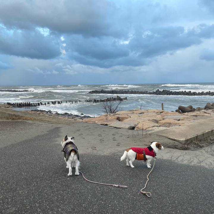 Fa553547 3d99 46d8 b138 845de7c7c7c5 1706223789881