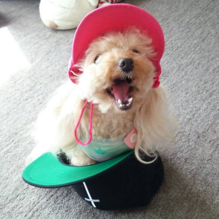 Fa553b8d 1c6e 4fdb 9e78 cc6ef0ba4430 1538472685169