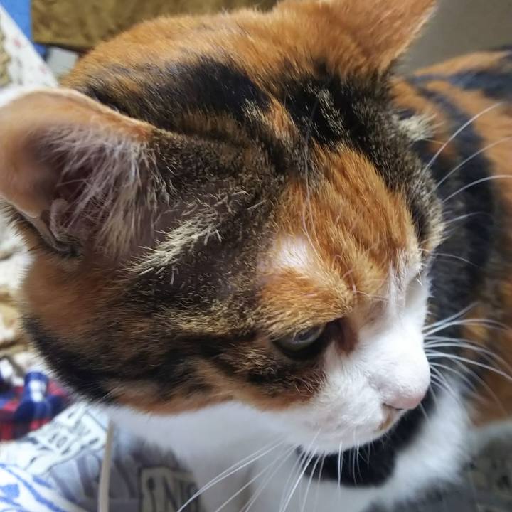 Fa5551ea 31e1 40bc 8b8c f21be97ce8ce 1566165003779