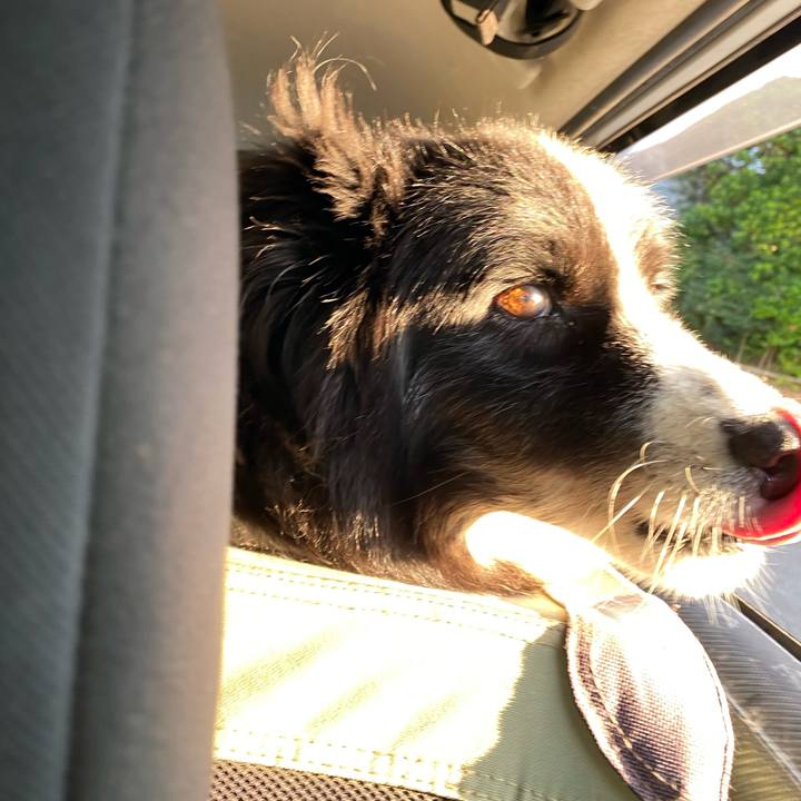 Fa555c75 3fe6 4855 b613 0b25e5814b93 1695679303465