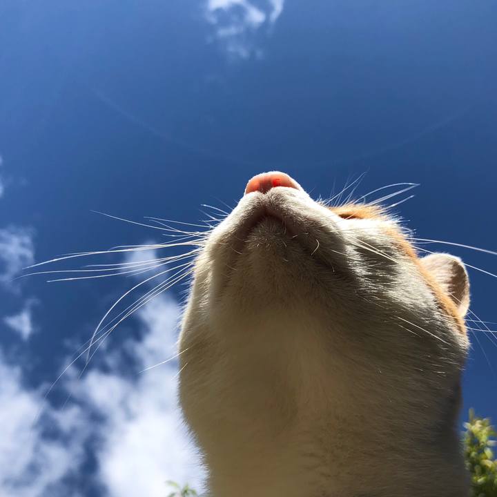 Fa556648 a9d3 4403 9dda d8a007ae6566 1538452796673