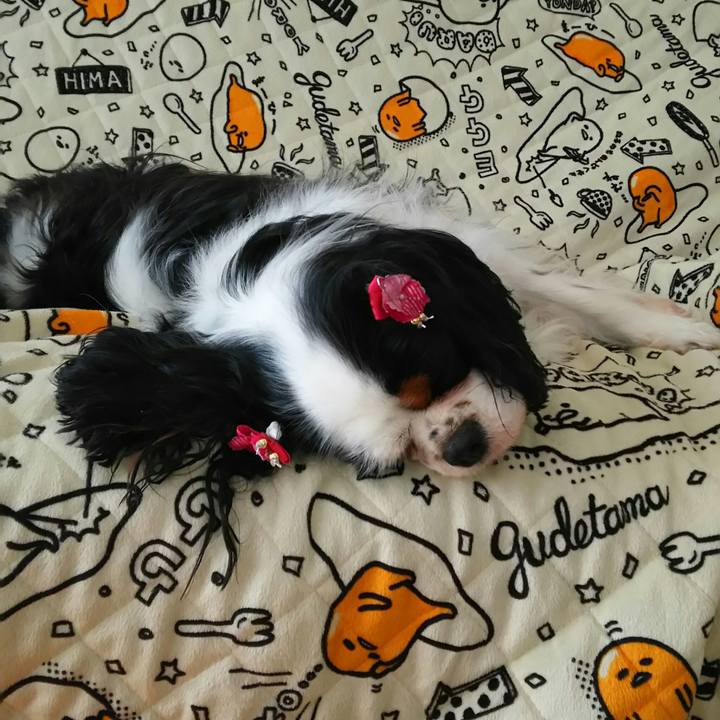 Fa55e7c7 b38a 4c48 a614 9e23730117bc 1533306415834