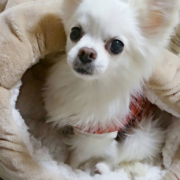 Fa56007d ef94 44ca 9af1 cf169b55cbc0 1508653640170