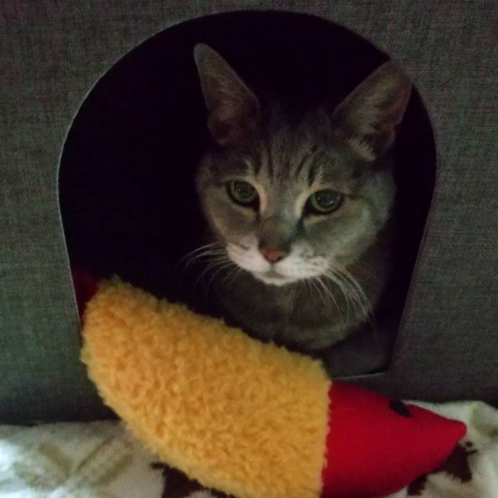 Fa5610b6 c7bf 4ccc a1fc 5751b7faa75e 1680210904880