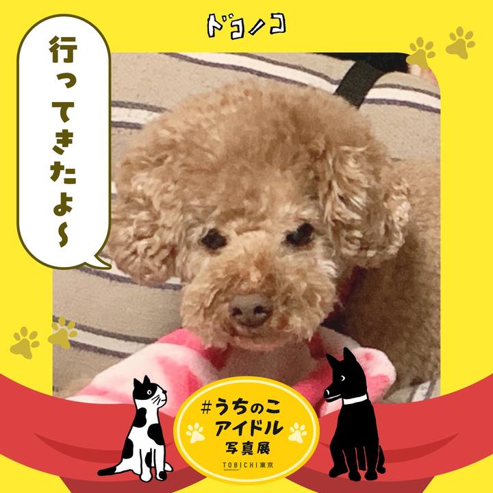 Fa562cad e5d3 4a04 aa39 f1e25336dc85 1761338929471