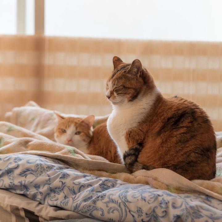 Fa564b4c 307e 4932 b62c 97e8908a3e35 1618748101228