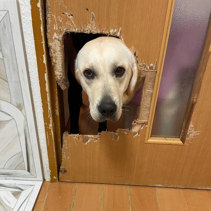 Fa564e4c 6eab 4076 b2ec 36dd59a7a1d7 1633680640192