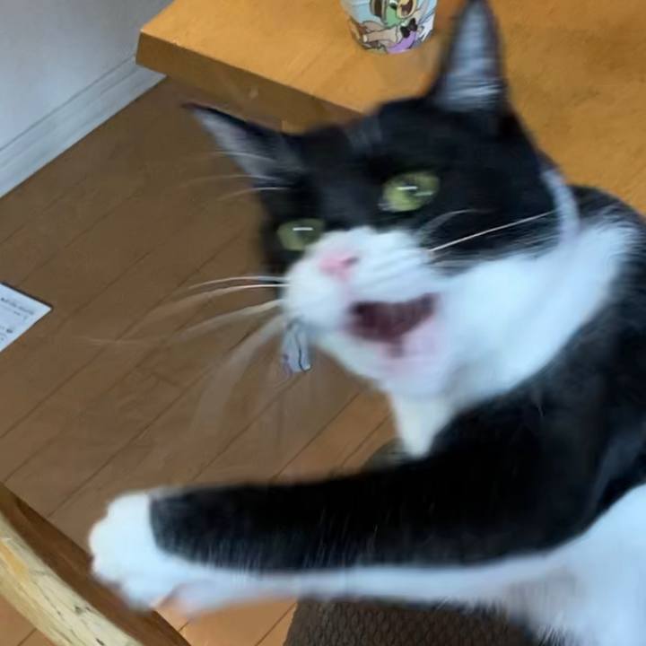 Fa565bc0 902c 493f 9517 447905f20bbd 1609300140372