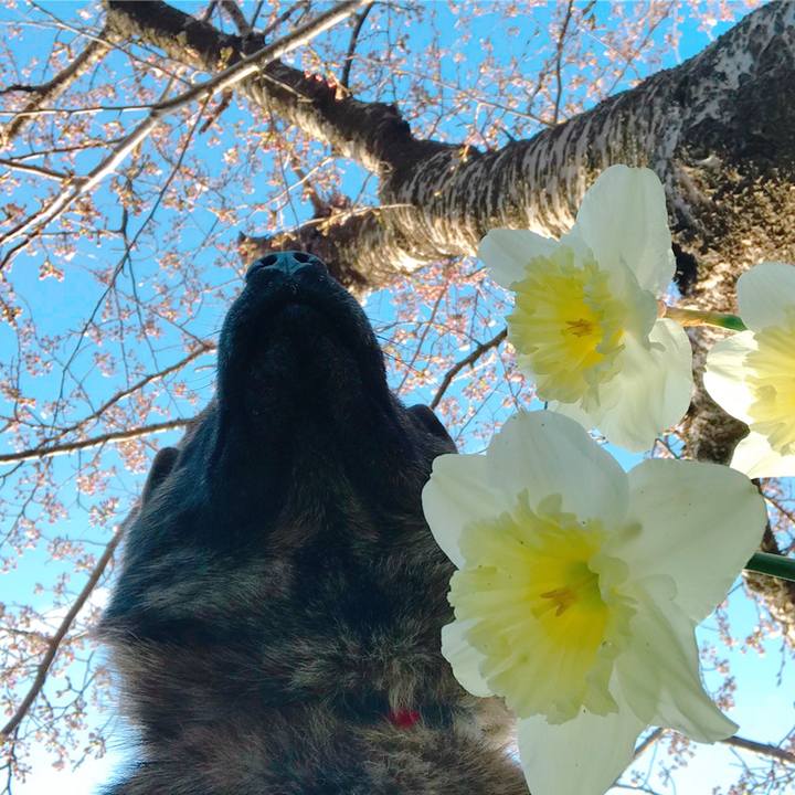 Fa5661bd 1741 4e34 a741 1d8002967f9d 1522883321330