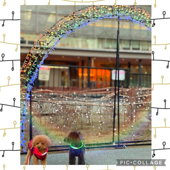 Fa567be0 6709 41bf 9d29 e553809af964 1703996898135