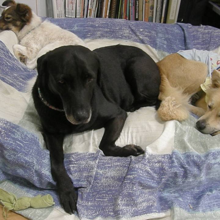 Fa567ee5 23bb 4064 9d17 fdf159ee8943 1526998767191