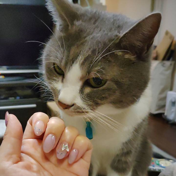 Fa56b718 4aa3 473f b3be 293928e7da4a 1722519777473