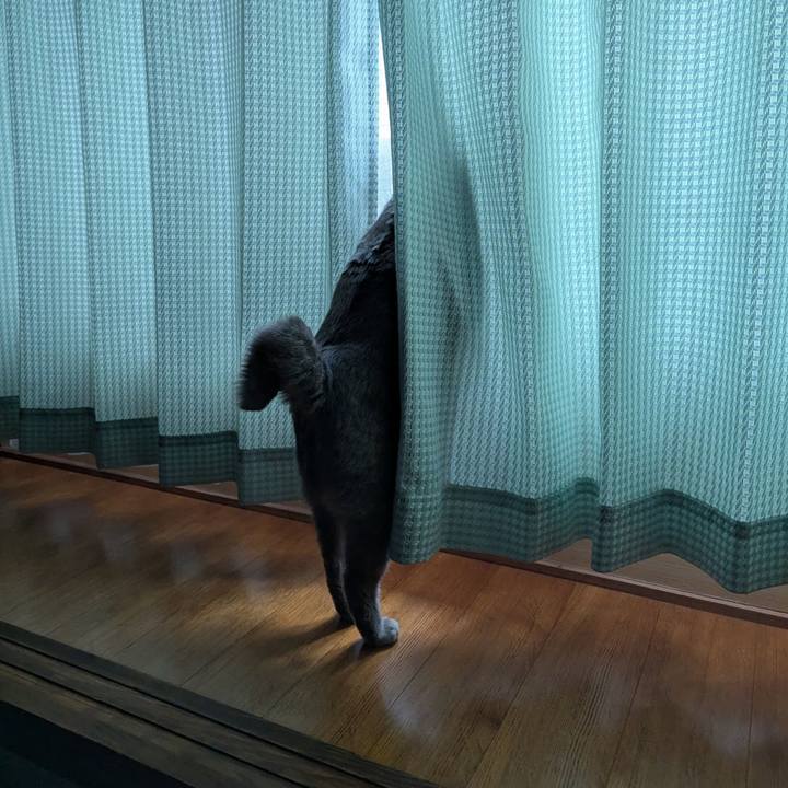 Fa57034e 12ab 42c6 8a2d 6ebe77e75b7d 1765777163189