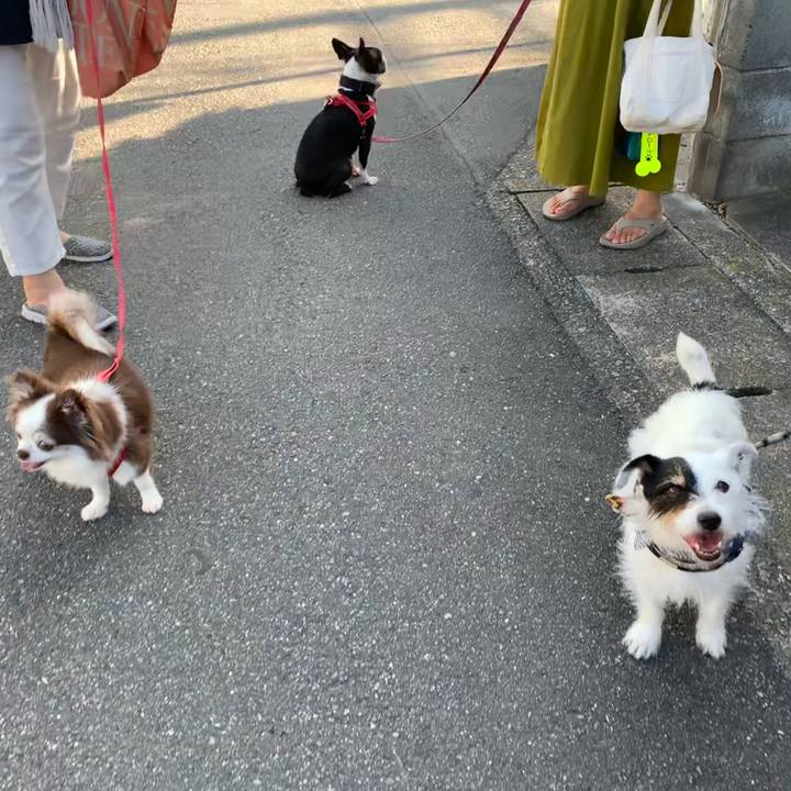 Fa57046f 153a 4cc1 a3c4 08678a4b395d 1723243610773