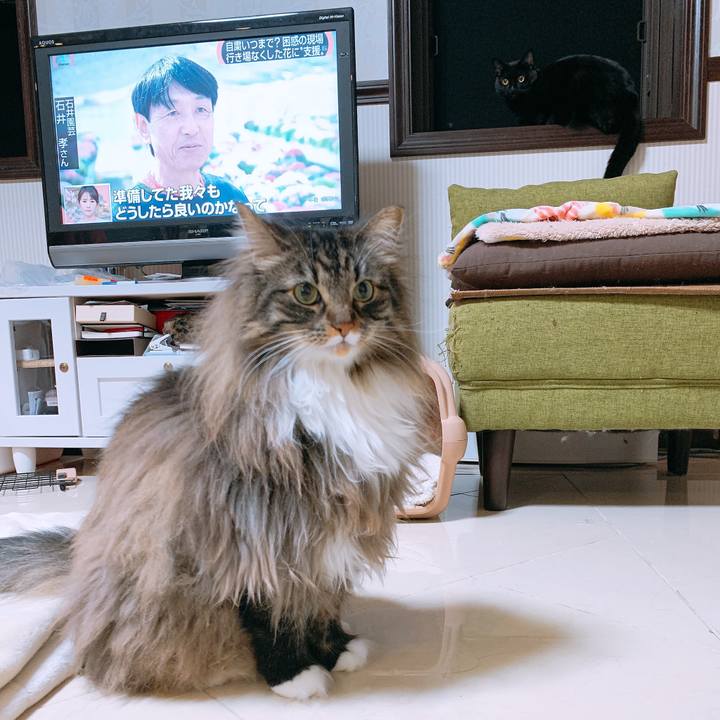 Fa572836 1dbd 4b44 b50e 960b70b1a156 1584234444475