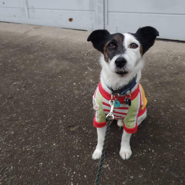 Fa57452a b1f6 42c0 b9a8 7e7353c709dc 1759960606843