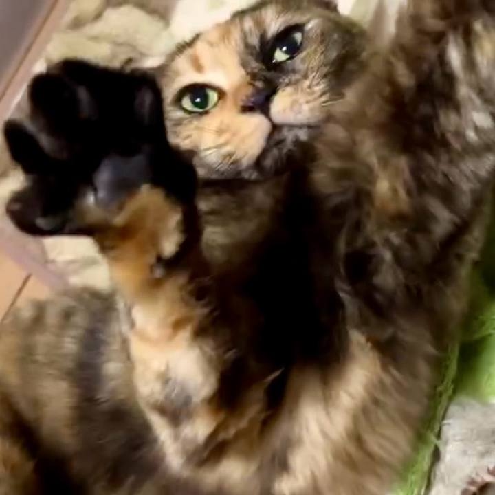 Fa576780 18be 4139 9f21 f97f364d4aaa 1737890567946