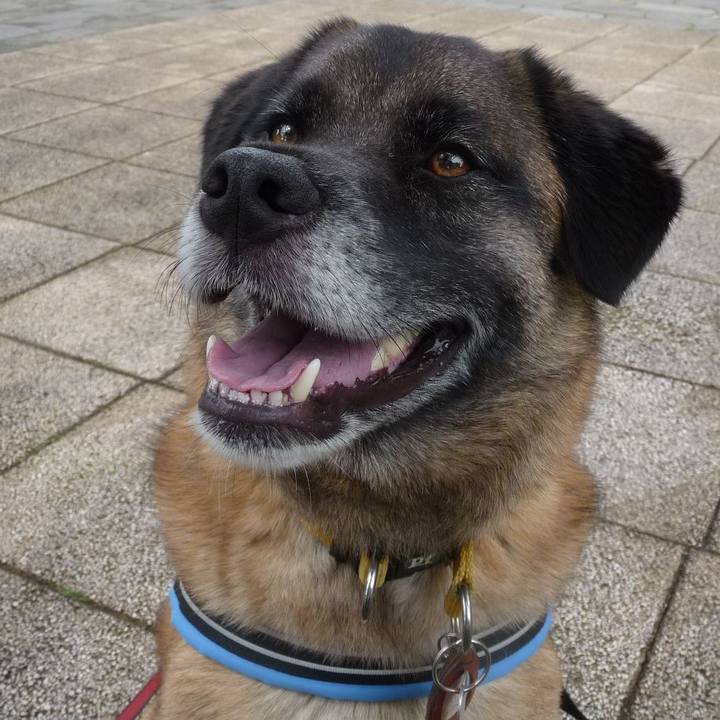 Fa576fb4 339c 4a6c 8690 d4f6cb934cf7 1577321211021