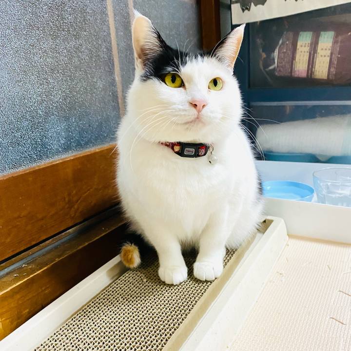 Fa57946d 9859 412a aca3 48198b12cd1b 1681035861157