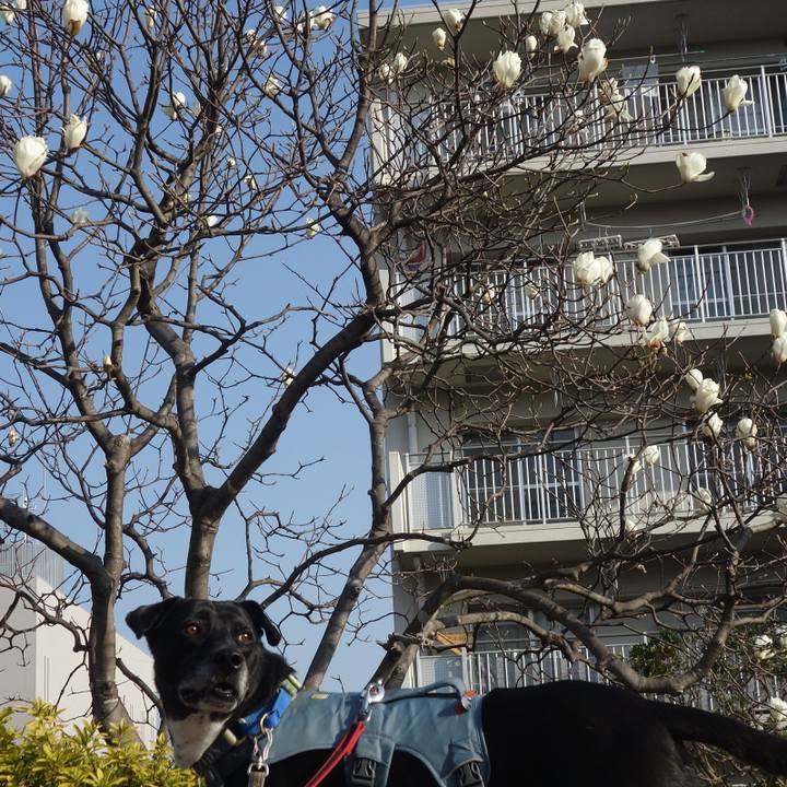 Fa57b359 f9e6 4306 b074 d6867f943594 1710550148826