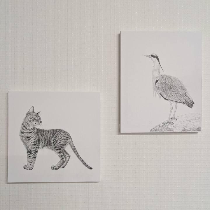 Fa57bd78 5f86 4e01 8ae9 4ec09a0e9ece 1740085034015