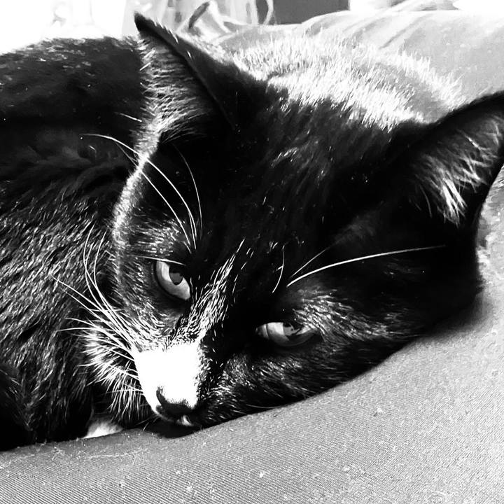 Fa57ee1c e007 441a 99fd 1efb266e36e5 1713152666147