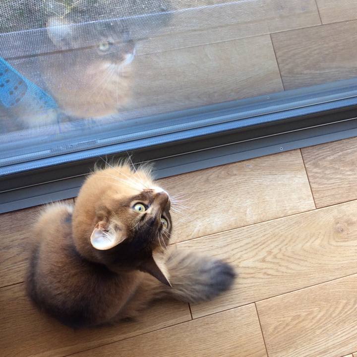 Fa580f42 bfd3 41ad abd7 64985db336b0 1633300311958