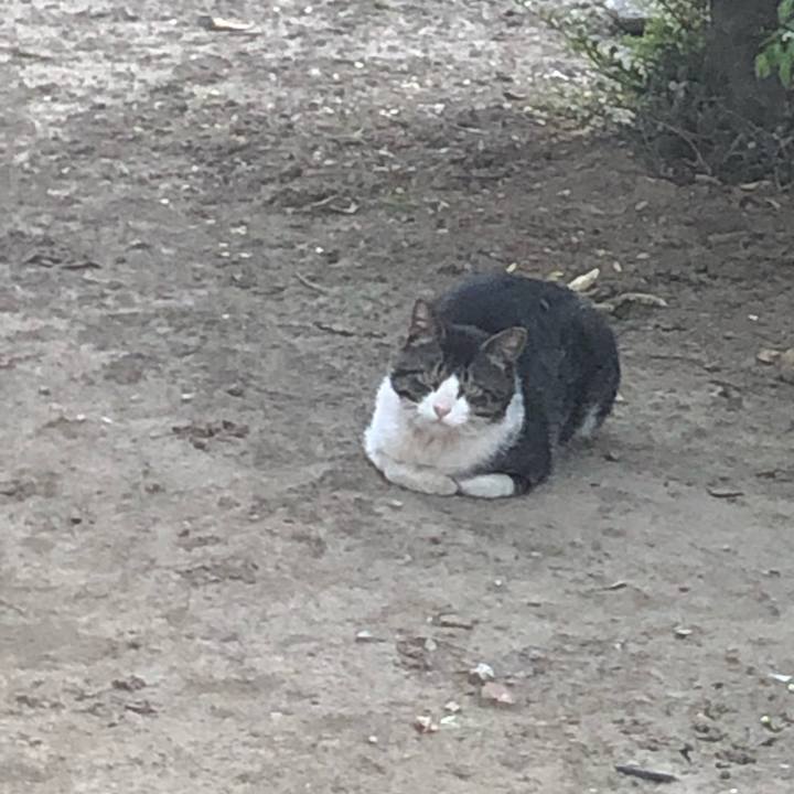 Fa583382 96a0 494a 837d b4e6463722c7 1557912890309