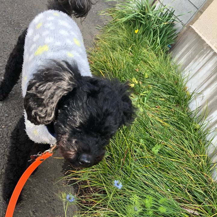 Fa585878 fefd 4e61 8d41 5ce87436ad13 1582597635060