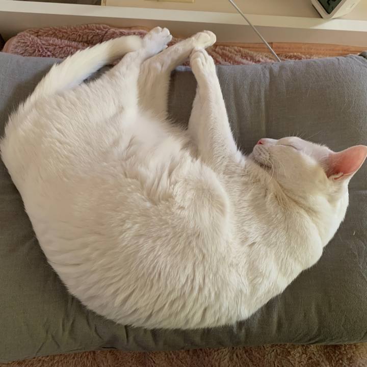 Fa58869b b2e7 44d5 a3f6 5a86f20b649f 1645596424194