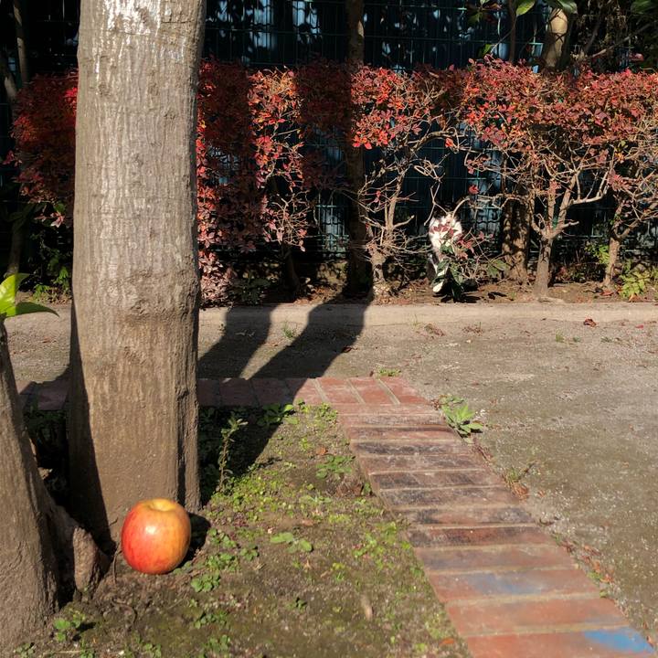 Fa58bd12 027c 4b58 a5ca 02c58b57de9d 1609361460584