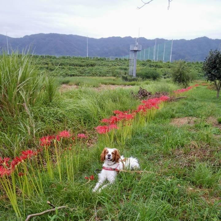 Fa58d164 2986 4372 b252 7290f2eccbff 1537183941009