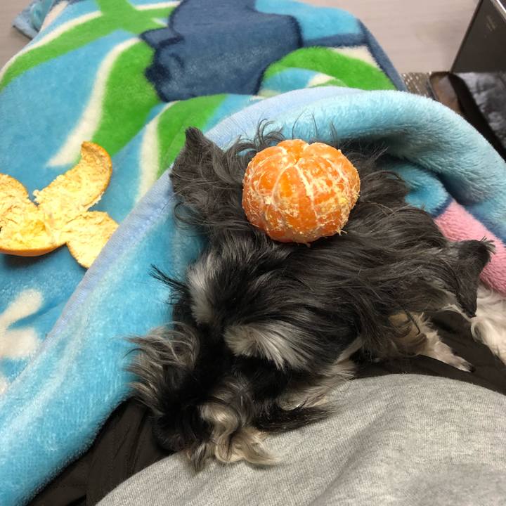 Fa592ed9 2384 4f4d 9b5d be3b60bc1b80 1577685410721