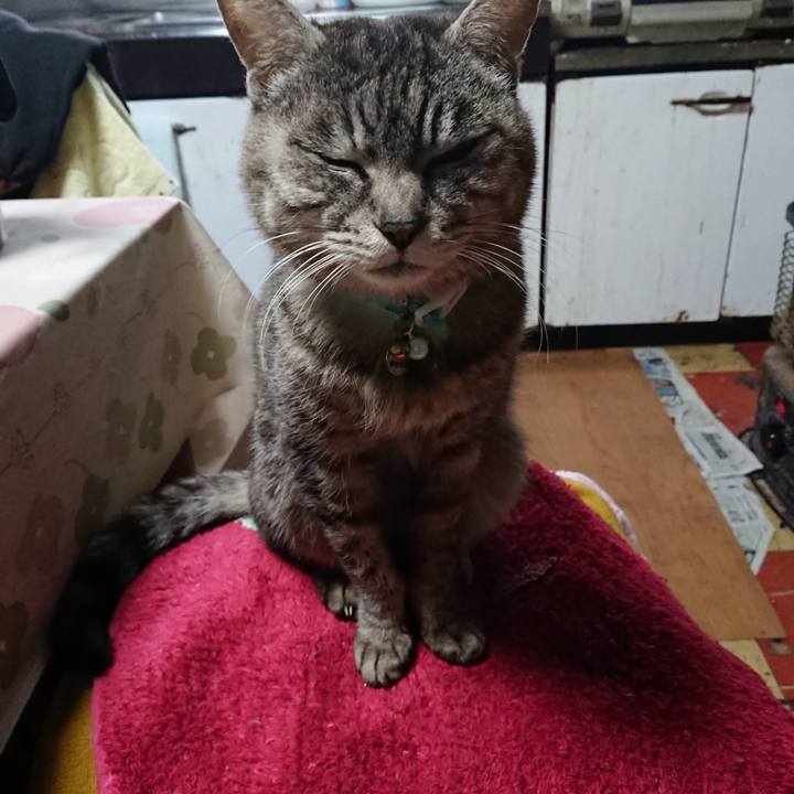 Fa595fa0 0873 49a2 a91b f8304904a660 1553774525666