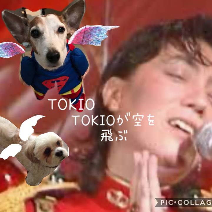 Fa599a69 78aa 4344 96b8 365845345883 1592657462540