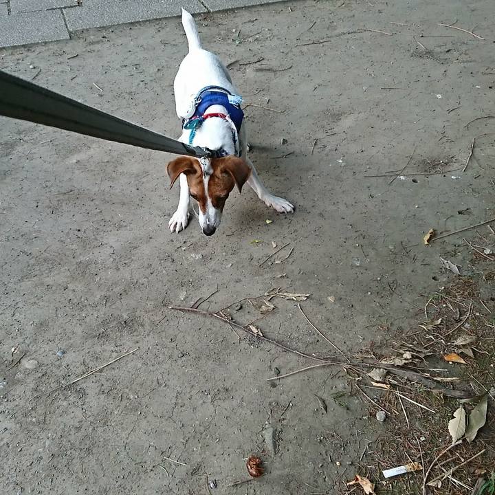 Fa59a656 ef21 478a a601 9e26c0b1b3a9 1531950625017