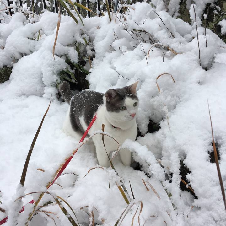 Fa59a7fc 9e8e 4525 96fd 46b8d81fcc02 1515630428765