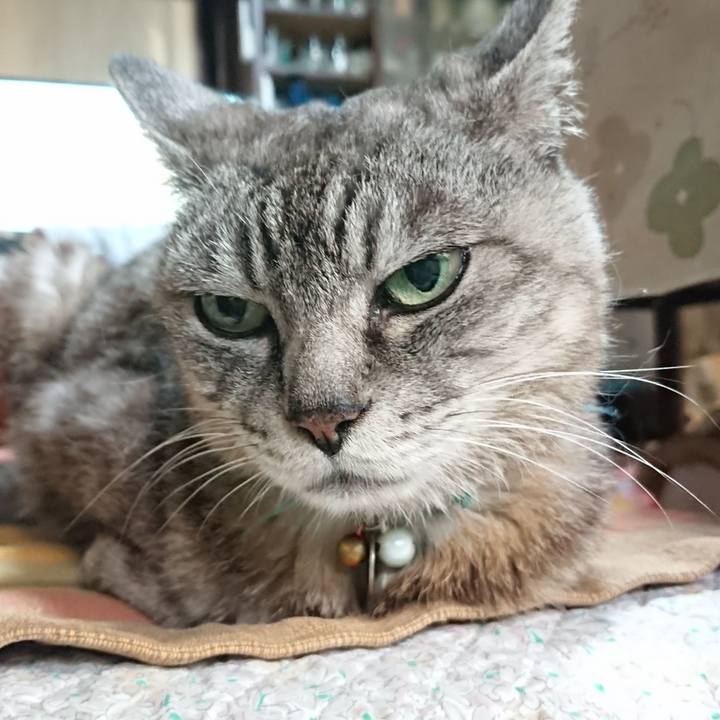 Fa59c05e 7188 41a5 99e3 edd864acb5ef 1568066237538