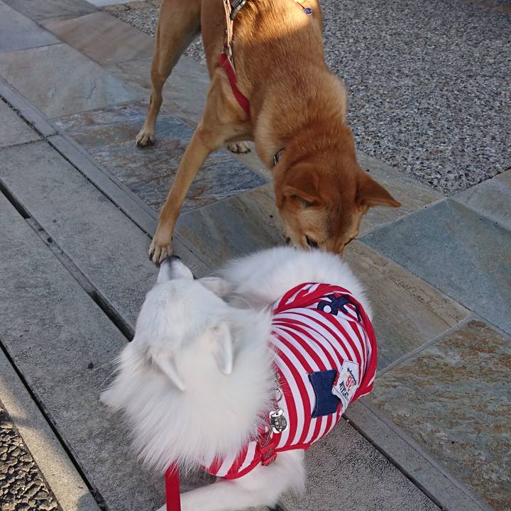 Fa59d59b 8a7a 4b00 ba06 93bd44a1c925 1541056487302