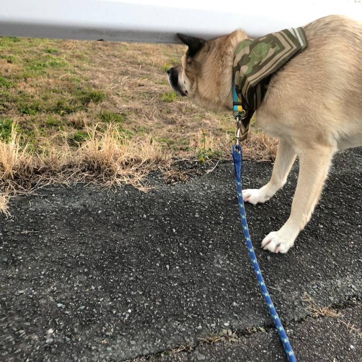 Fa59df23 0172 449f b914 d7f0fd4e9466 1579609728316